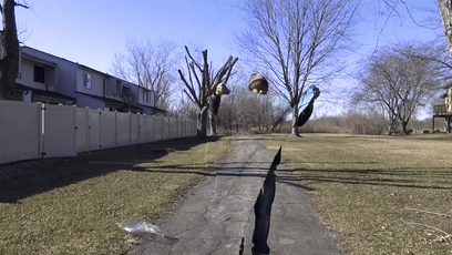 国外推出量子隐身盾牌?别笑,这次真能隐身|量子