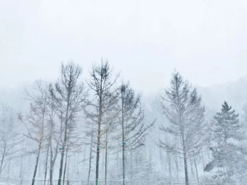 2019年入冬第一场雪，白云山秒变美颜，甭管了盘TA！