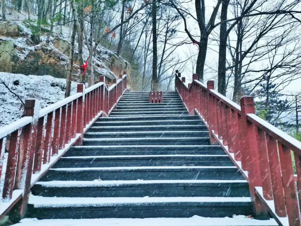 2019年入冬第一场雪，白云山秒变美颜，甭管了盘TA！