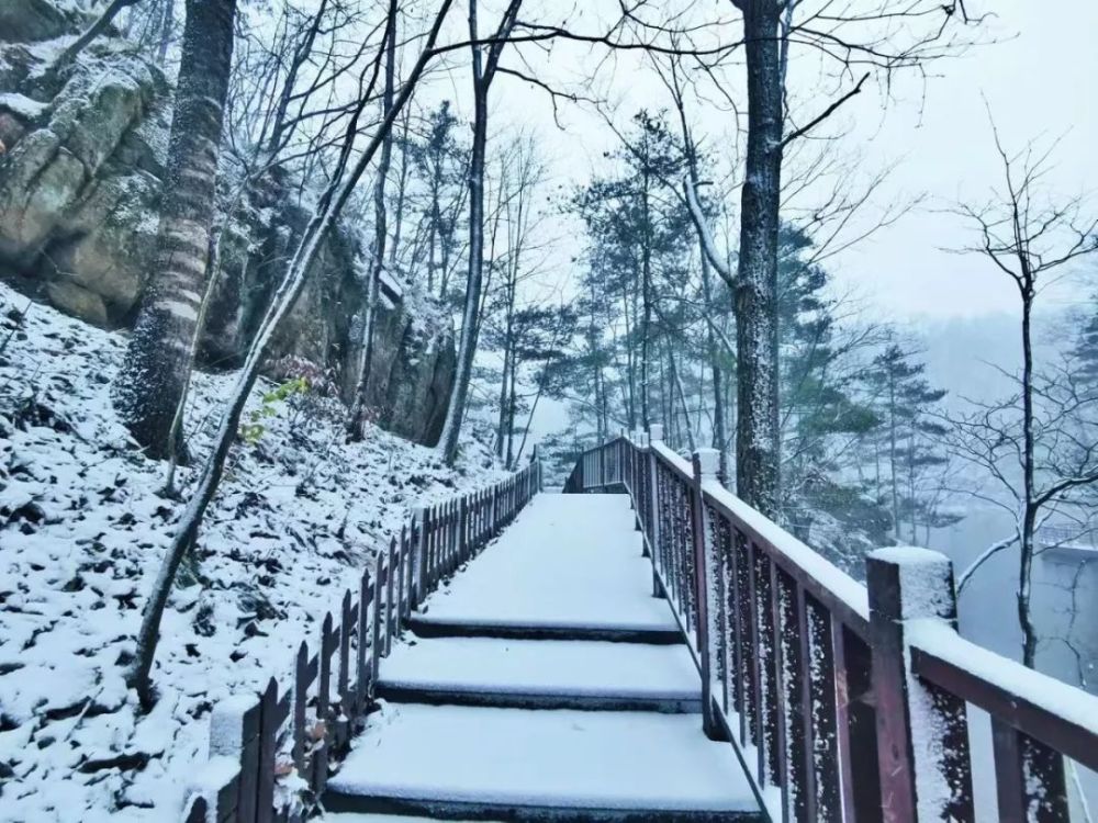 2019年入冬第一场雪，白云山秒变美颜，甭管了盘TA！