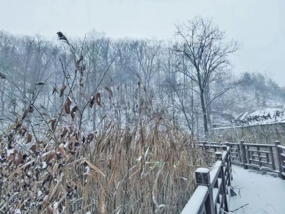 2019年入冬第一场雪，白云山秒变美颜，甭管了盘TA！