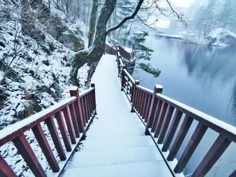 2019年入冬第一场雪，白云山秒变美颜，甭管了盘TA！