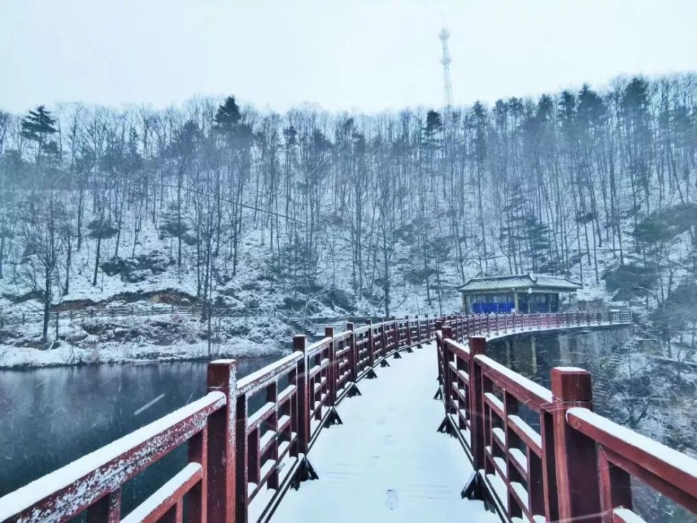 2019年入冬第一场雪，白云山秒变美颜，甭管了盘TA！