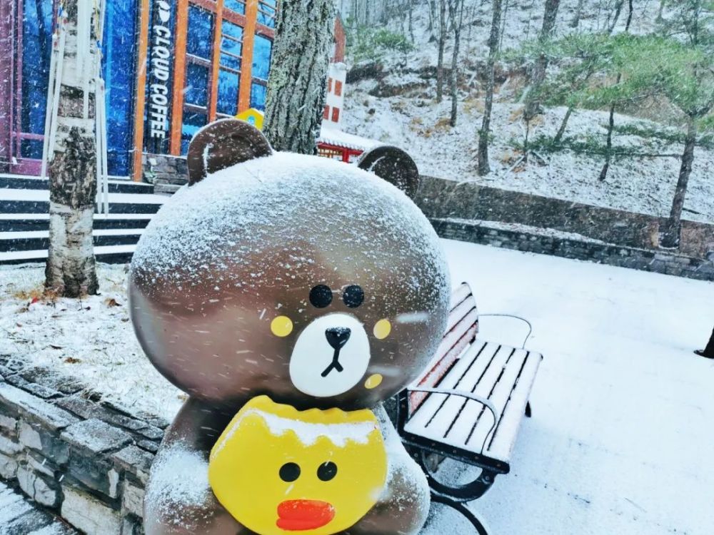 2019年入冬第一场雪，白云山秒变美颜，甭管了盘TA！