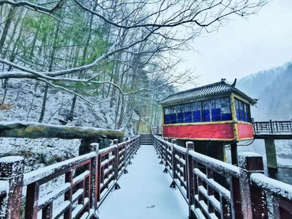 2019年入冬第一场雪，白云山秒变美颜，甭管了盘TA！