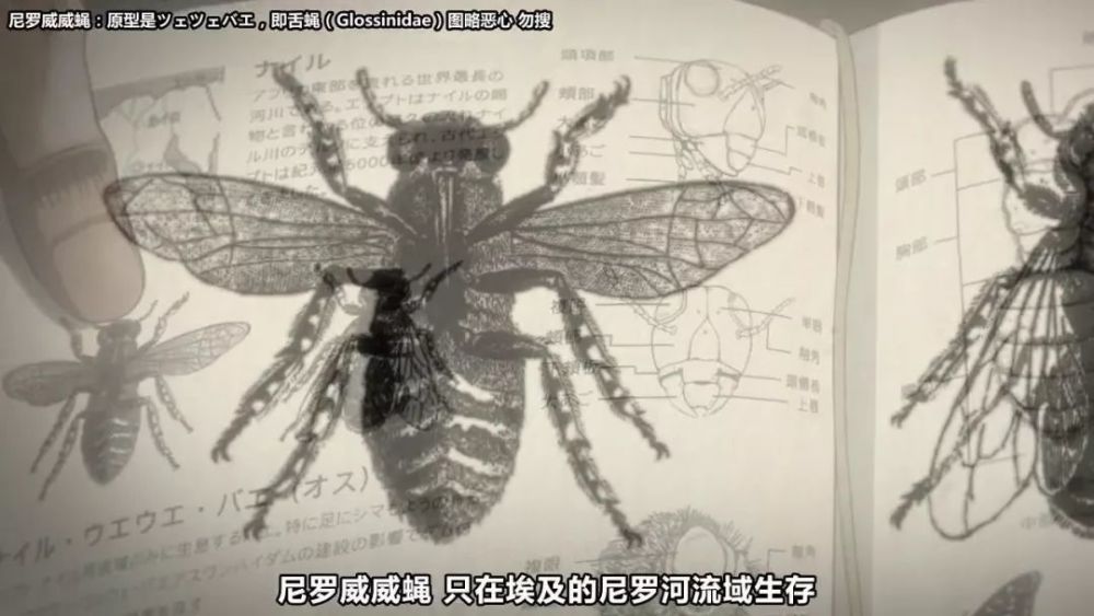 Jojo 载具杀手上线 银色战车入伙 腾讯新闻