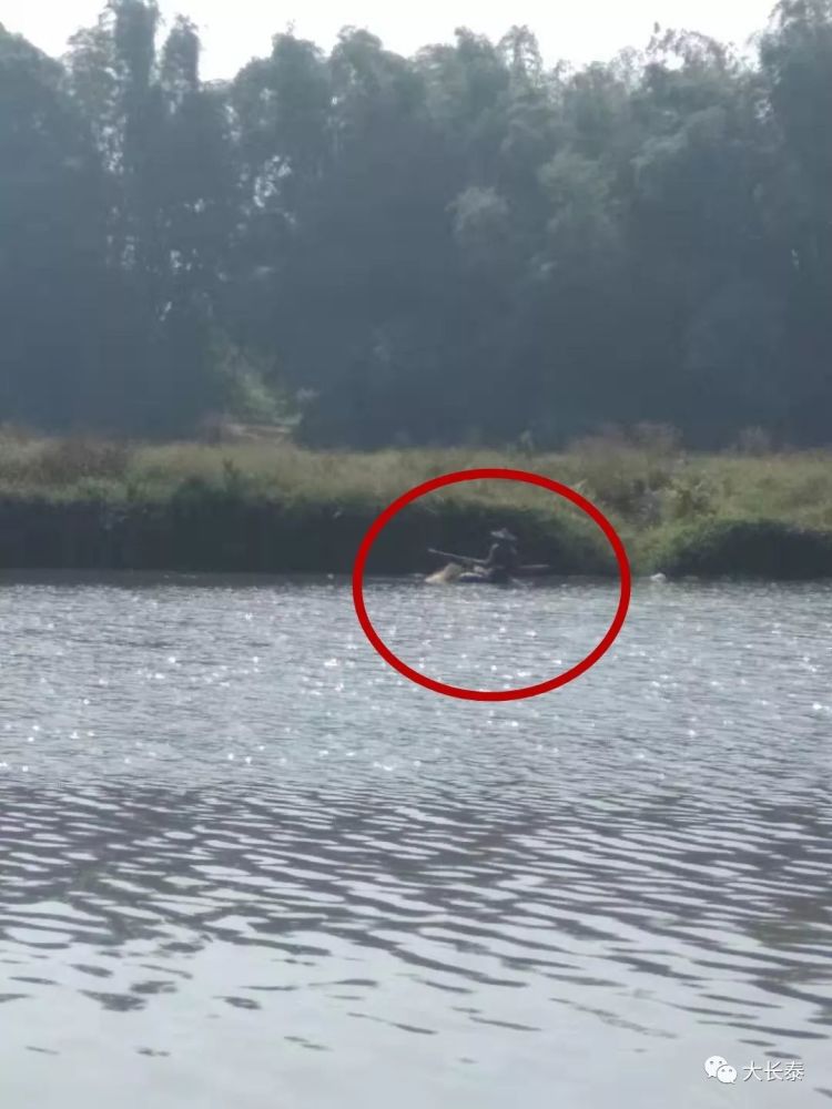 塑料盆排行榜_塑料盆桶篮行业深度研究报告(2)