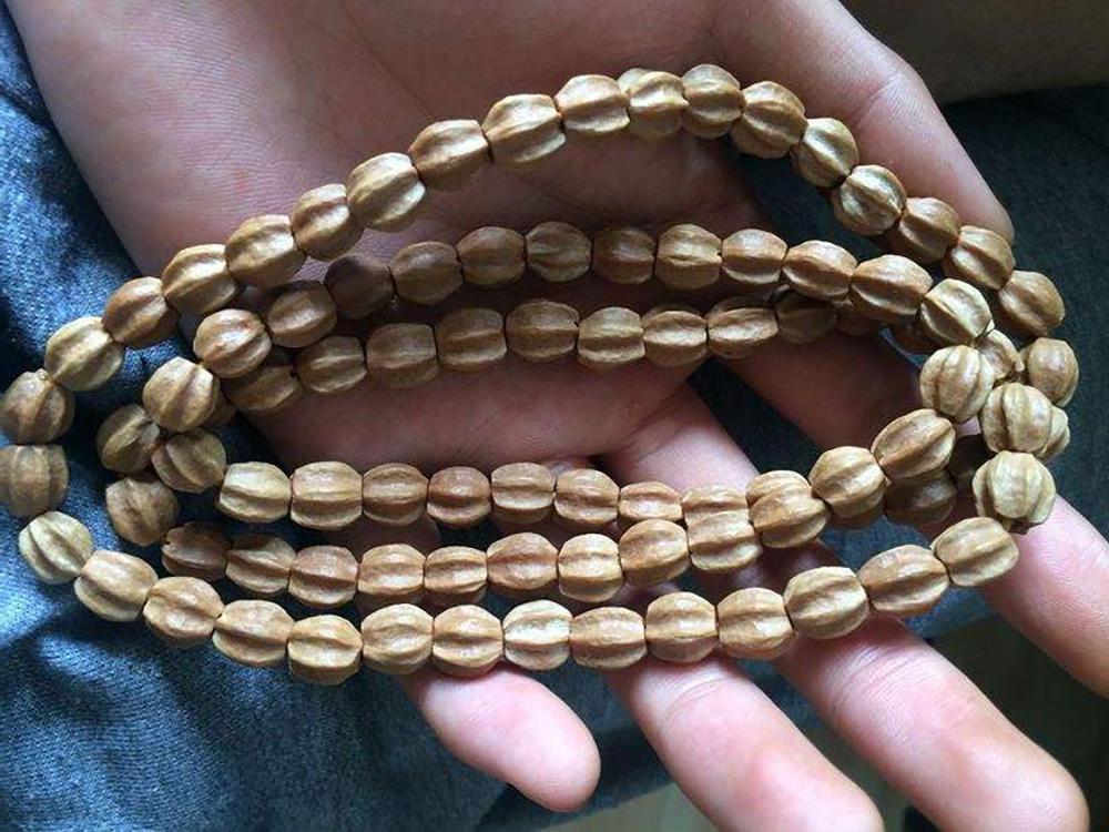 俗称"苦枣子",儿时用来做手串,殊不知对冻疮很有效,别错过