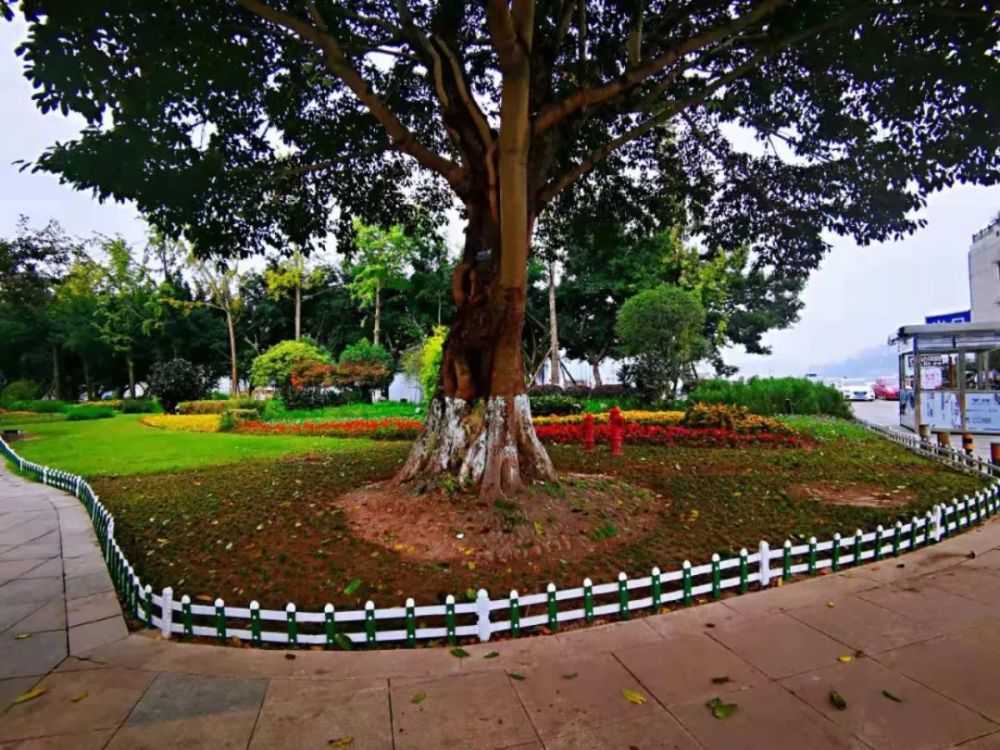 万州高笋塘,高铁北站,音乐广场……大变样!