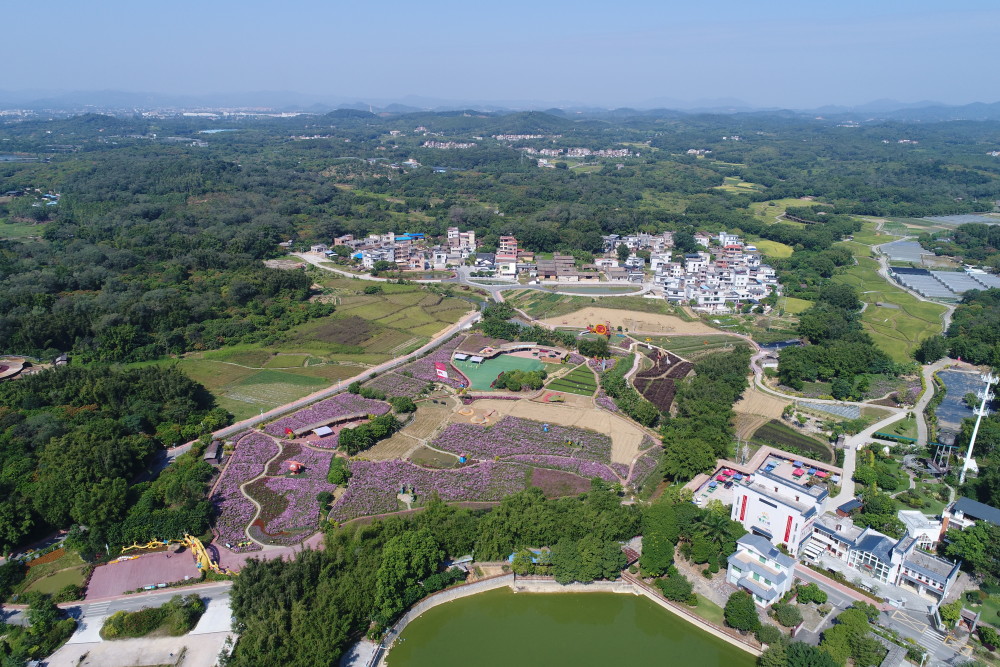 产业投资基金下乡从化西塘村迎来升级