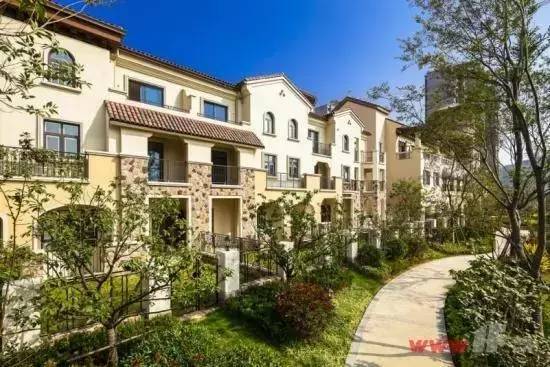 连云港富豪排行榜_连云港滨州南阳,小地方出江苏山东河南首富,这里更牛出中国首富