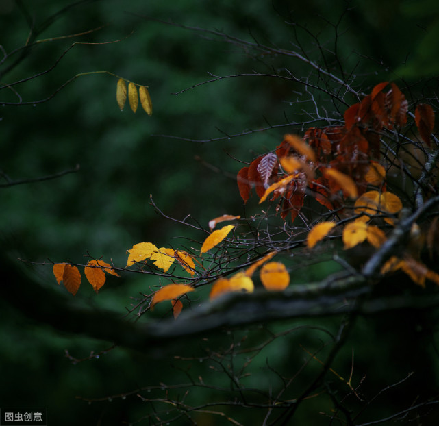 凝思靜慮,擬形於心.王陽明將在事上修心,總結成這八個字.