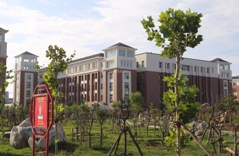 衡水桃城中学教师王亚红为梦想奋斗再苦也值得