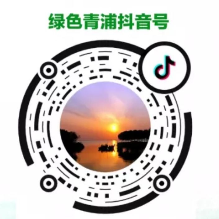5G有多快？沪5G网络及用户测评报告发布！