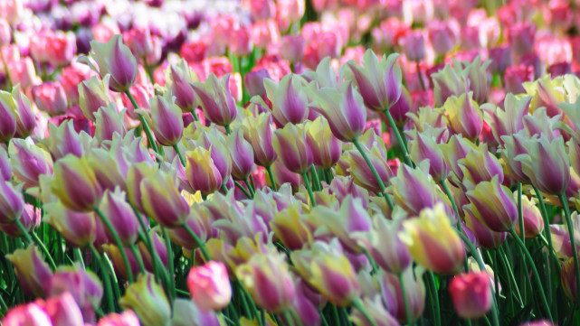 11月号以后 与过去说声再见 旧爱不再重提 开启新恋情的星座