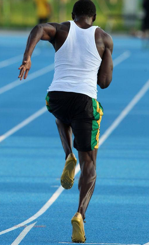 最后我们再来看田径运动员的小腿肌肉.