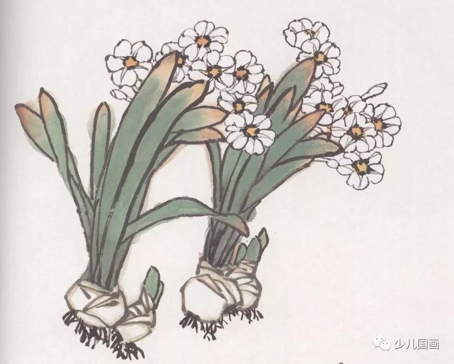 [写意国画]水仙画法步骤[高清]