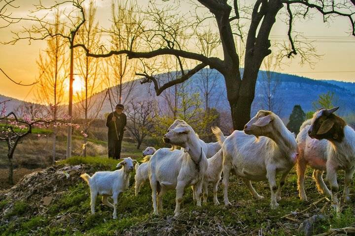 历史上出过墨子,鲁班,造车始祖奚仲,凿壁偷光的匡衡,贾三近这样的大