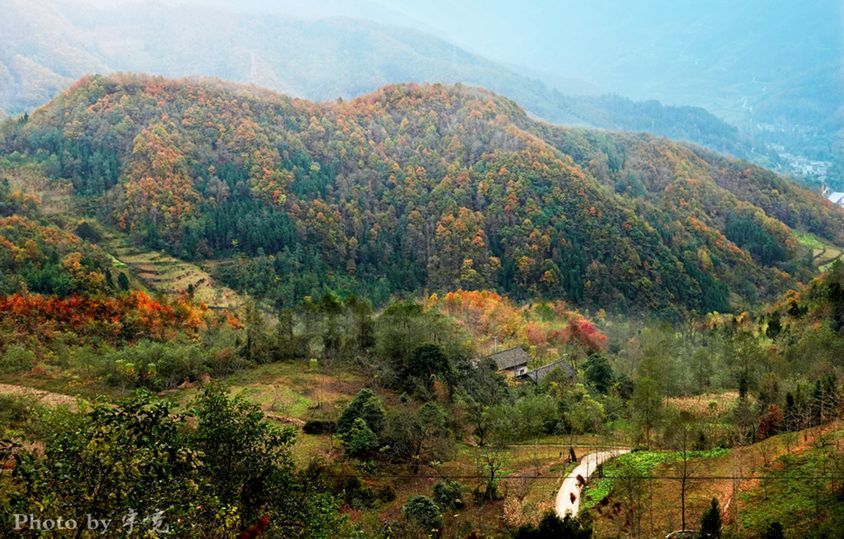 四川平武有座山已宣告結束時當全國大多地方的紅葉彩林冬天猝不及防地