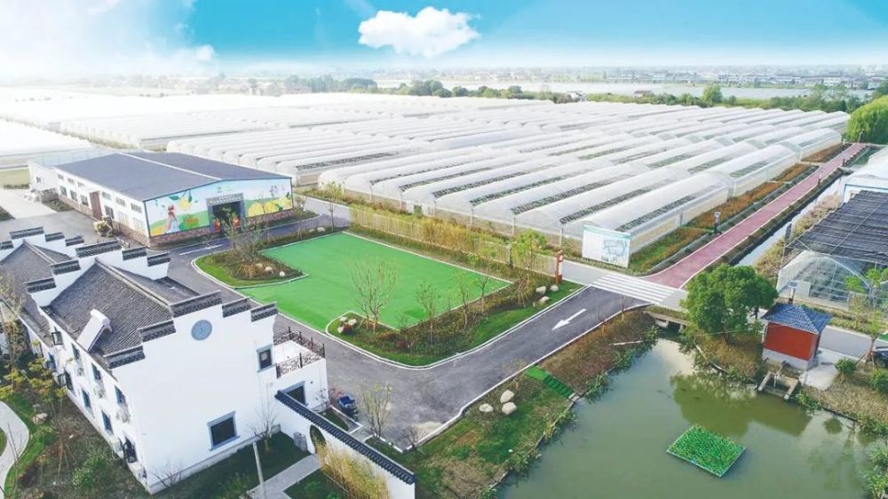 从单纯的养殖到如今的新型羊倌,湖州南浔世荣湖羊养殖家庭农场负责人