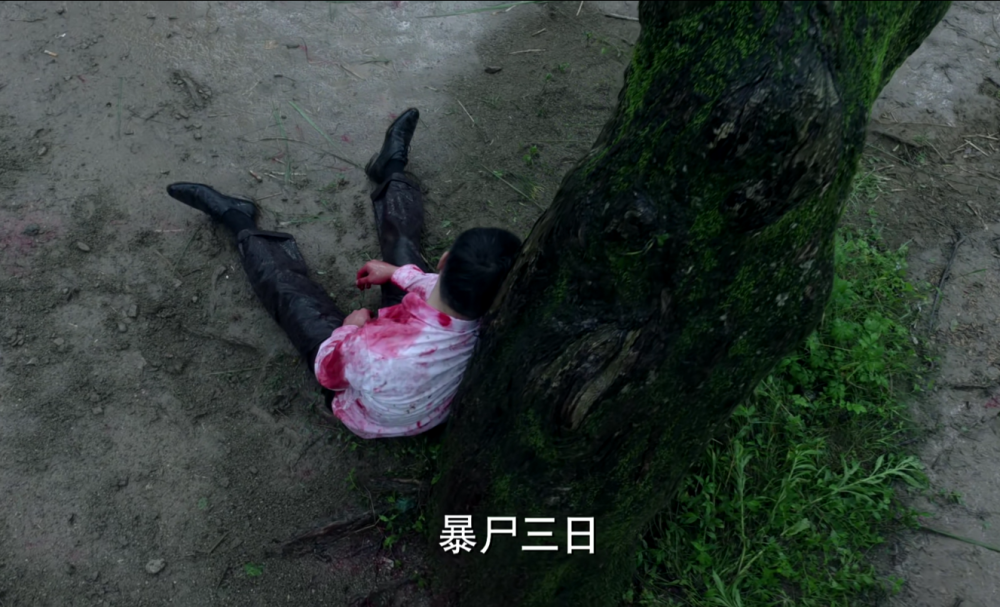 是让人火大,陈山的哥哥陈河,因转移情报身份暴露,被暴尸三天无人问津