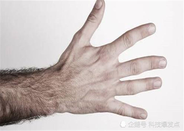 为什么人类体毛越来越少 仅仅是女人喜欢 有3个原因 腾讯新闻