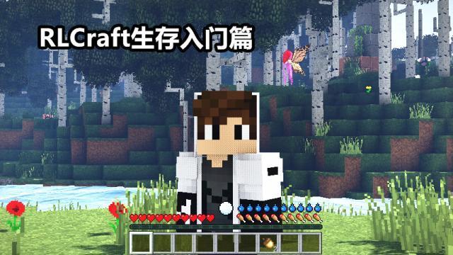 我的世界rlcraft入门 籽岷死了上千次 这模组第一天该怎么玩 我的世界
