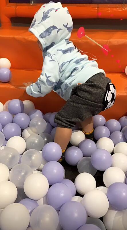 张柏芝带家人新加坡游玩一岁小王子活泼好动不停丢球超可爱