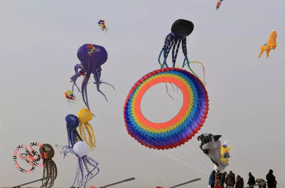 岩上松 作品岩上松 作品岩上松 作品岩上松 作品风筝表演刚刚结束一架