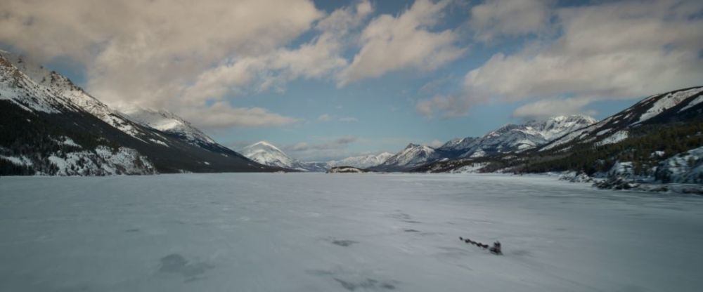 电影《野性的呼唤》发布全球首支预告片,再现