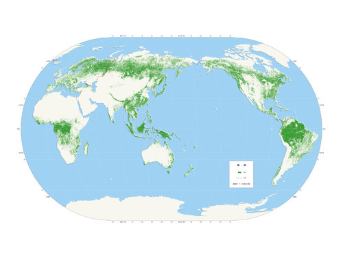 2018年全球30米分辨率森林覆盖分布图，中国科学院空天信息创新研究院提供
