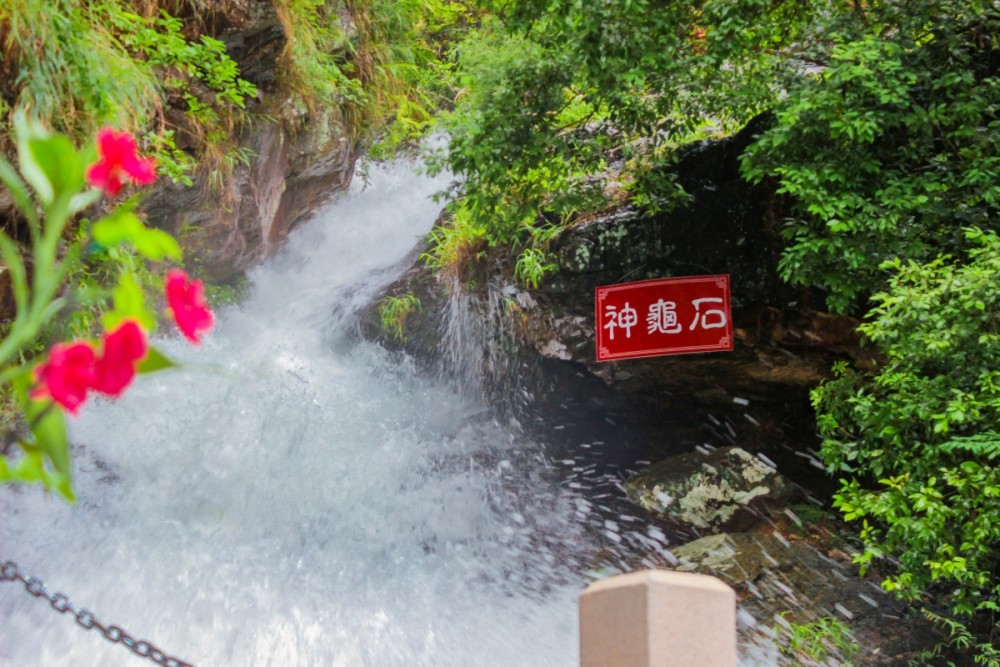 不要 二倍速 的生活 来东莞观音山做时光的有情人 腾讯新闻