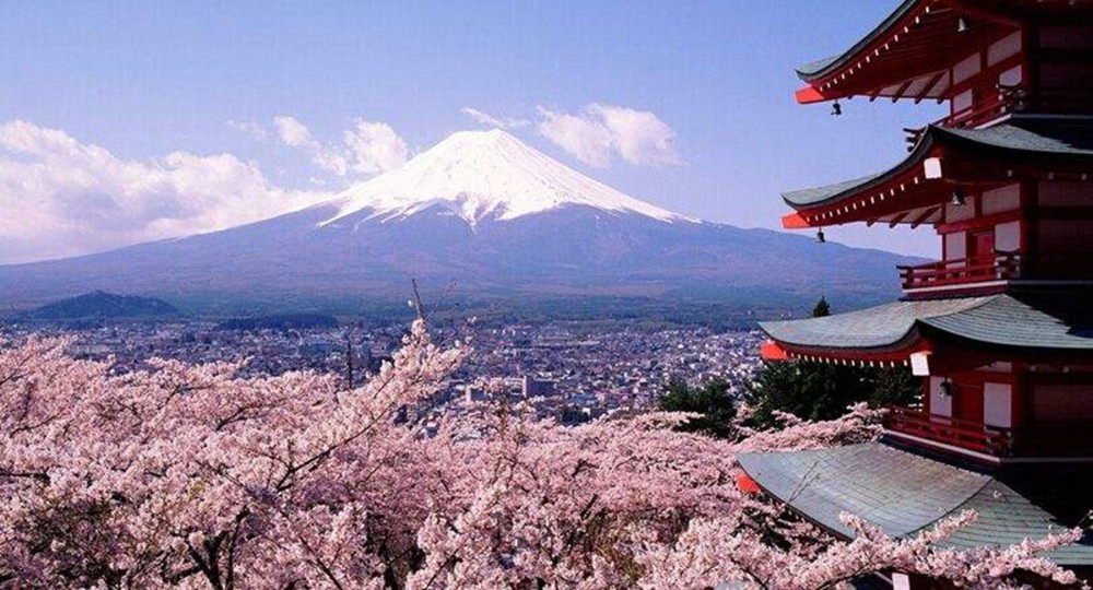 中国人不喜欢日本 但为什么去日本旅游的人却在每年增加 腾讯新闻