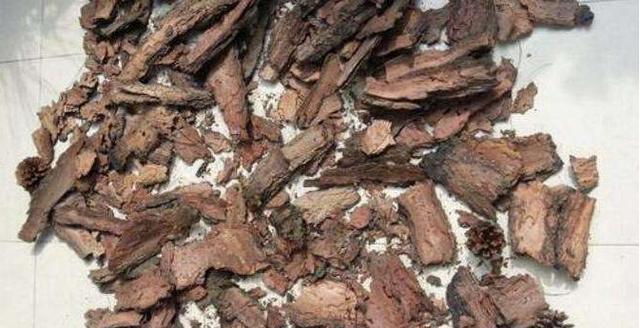 这种物质能促进植物根芽的生长,且柳树皮里面还含有阿司匹林,能防止