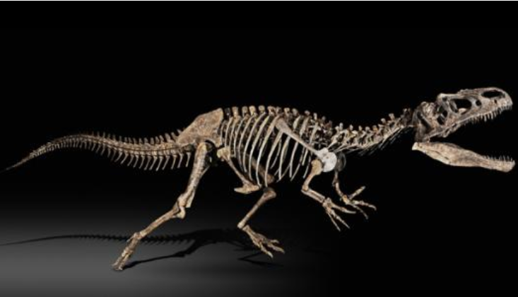 美女吃肯德基烤鸡,却留下"恐龙骨架",清洁阿姨看后直呼:好怕怕