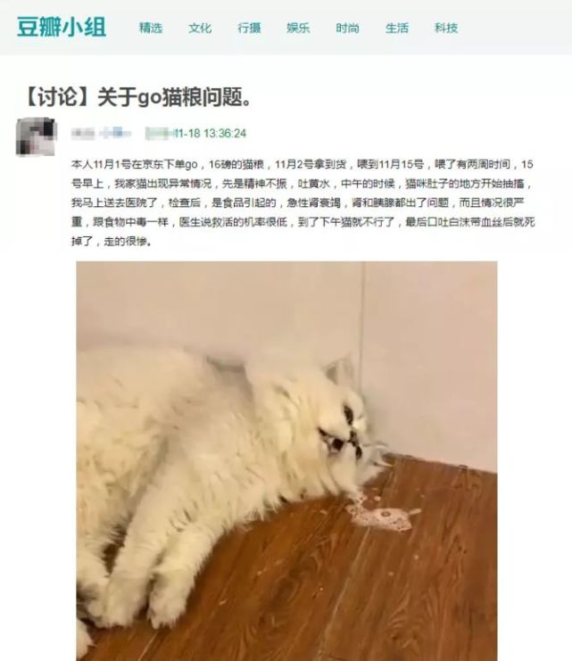 go猫粮吃死猫?go还能不能吃了?