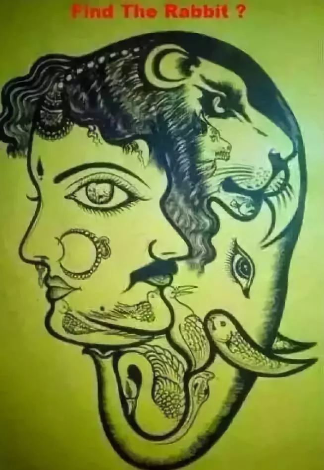 高智商才能看出兔子在哪,你能看出吗?