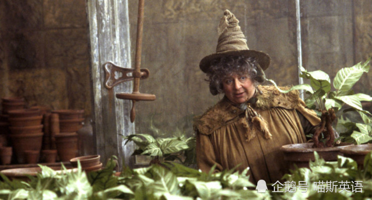 斯普劳特就非常欣赏他的勇敢,为了赞赏哈利的行为,她居然以"哈利曾递