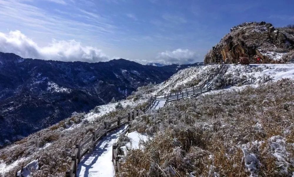 满足滑雪 看雪,邂逅雪中金丝猴~_腾讯新闻