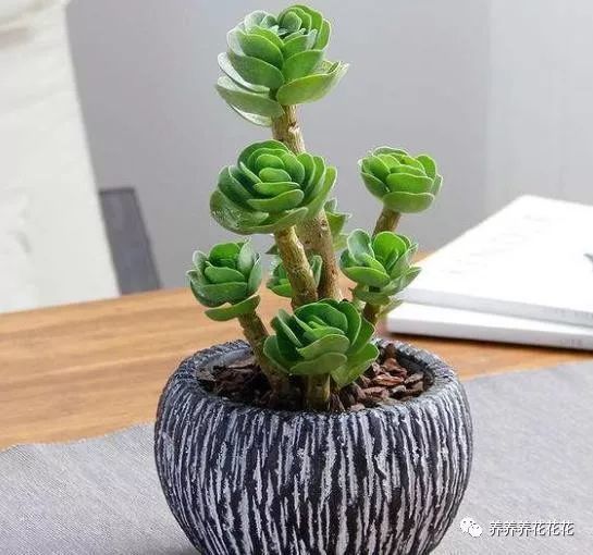 腾讯内容开放平台