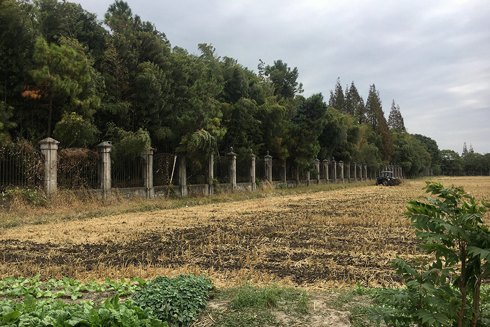 培訓中心這塊地沒有劃定野生動物棲息地或自然保護區