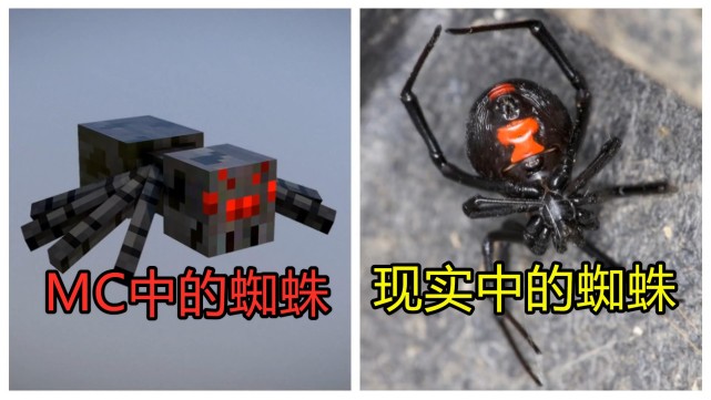 我的世界中的物品vs现实中的物品 最后一个最有喜感 玩家 史蒂夫 雪傀儡 雪人 我的世界 蜘蛛 游戏