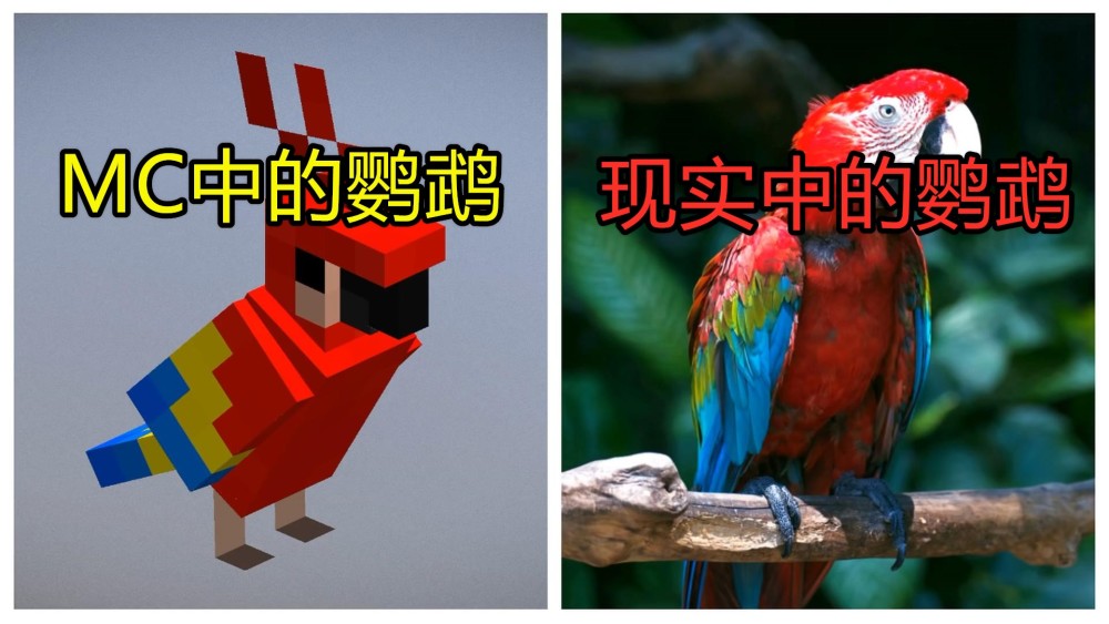 史蒂夫下面这个对比就比较有意思了,大家知道在minecraft中方块是这个