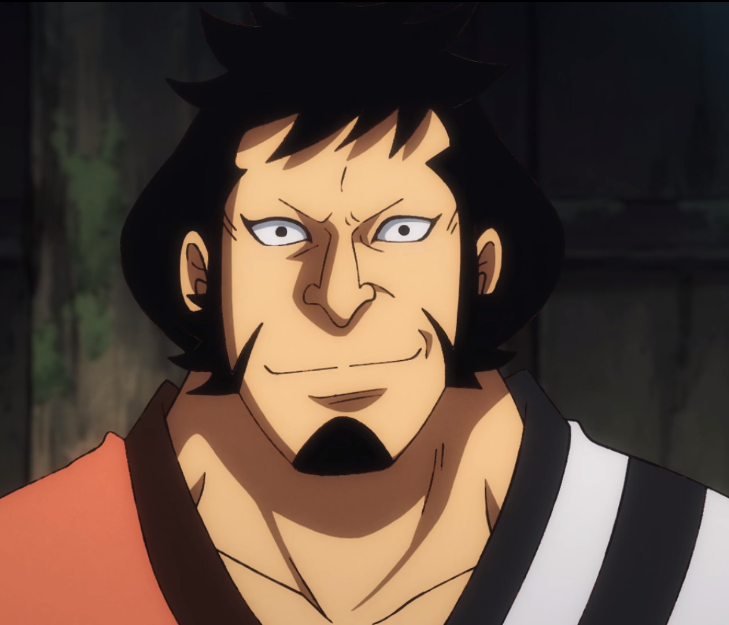 海贼王9颗功能重叠的果实有2颗一模一样打破能力不重复规则