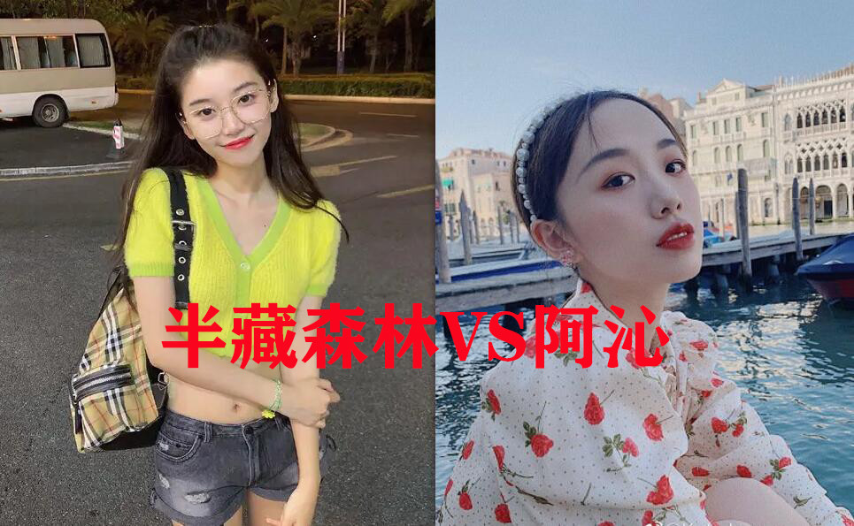 大多数直男都喜欢半藏森林?看完和阿沁对比,网友:这也难怪