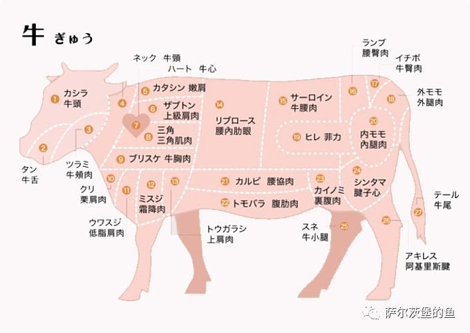 超实用的和牛各部位介绍与日文名称对照 腾讯新闻