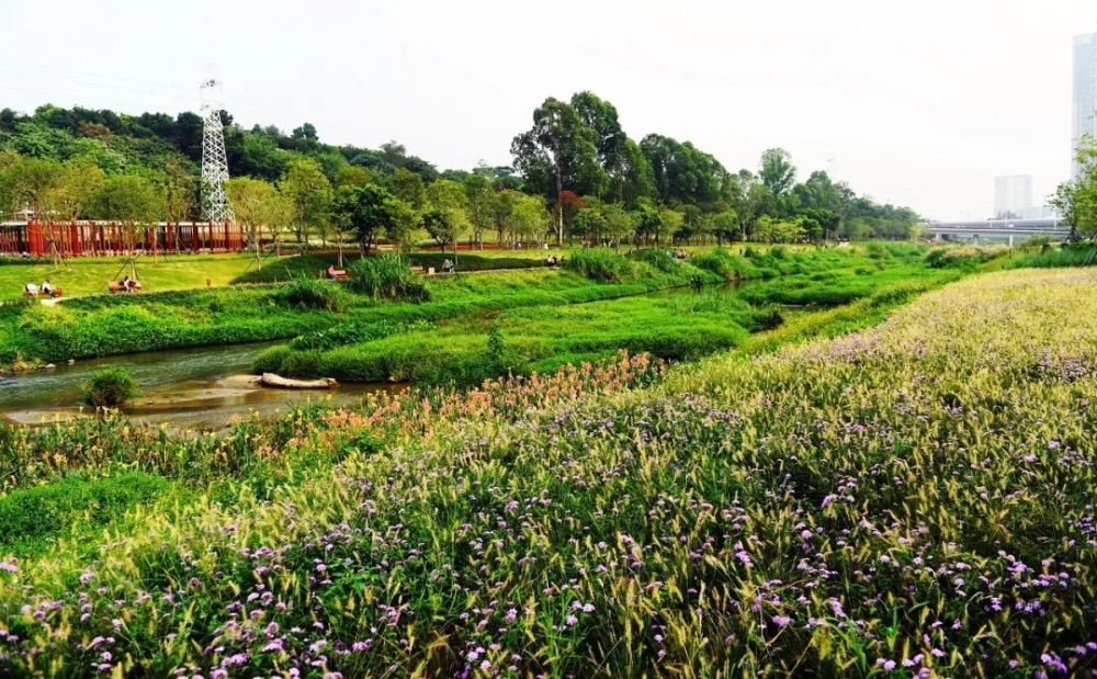 這條過河汀步春節前建成開放市民逛大沙河公園更方便啦