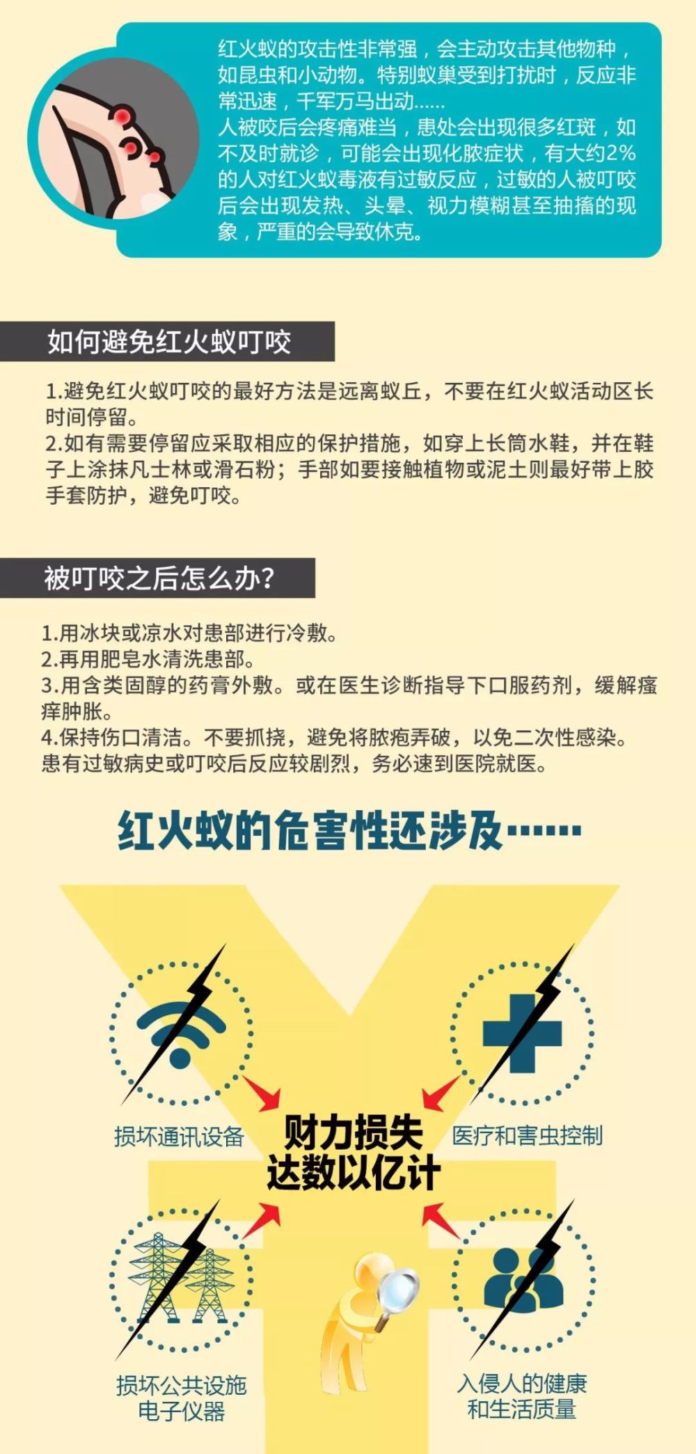 "参与过红火蚁疫情防控的郑仕华感慨地说,两年时间里,工作人员总共对