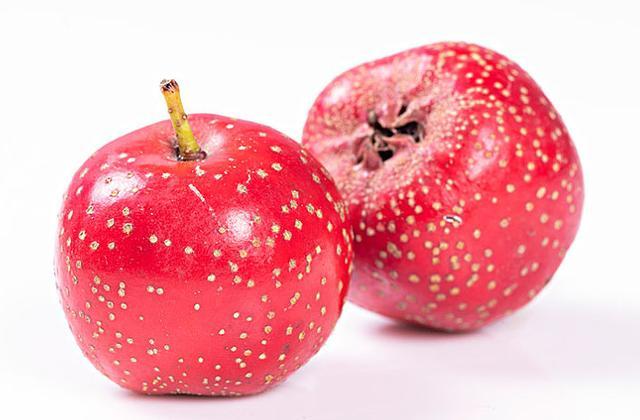 山楂有顺气止痛,化食消积,降脂的作用,对气滞血瘀引起的腹胀和生气