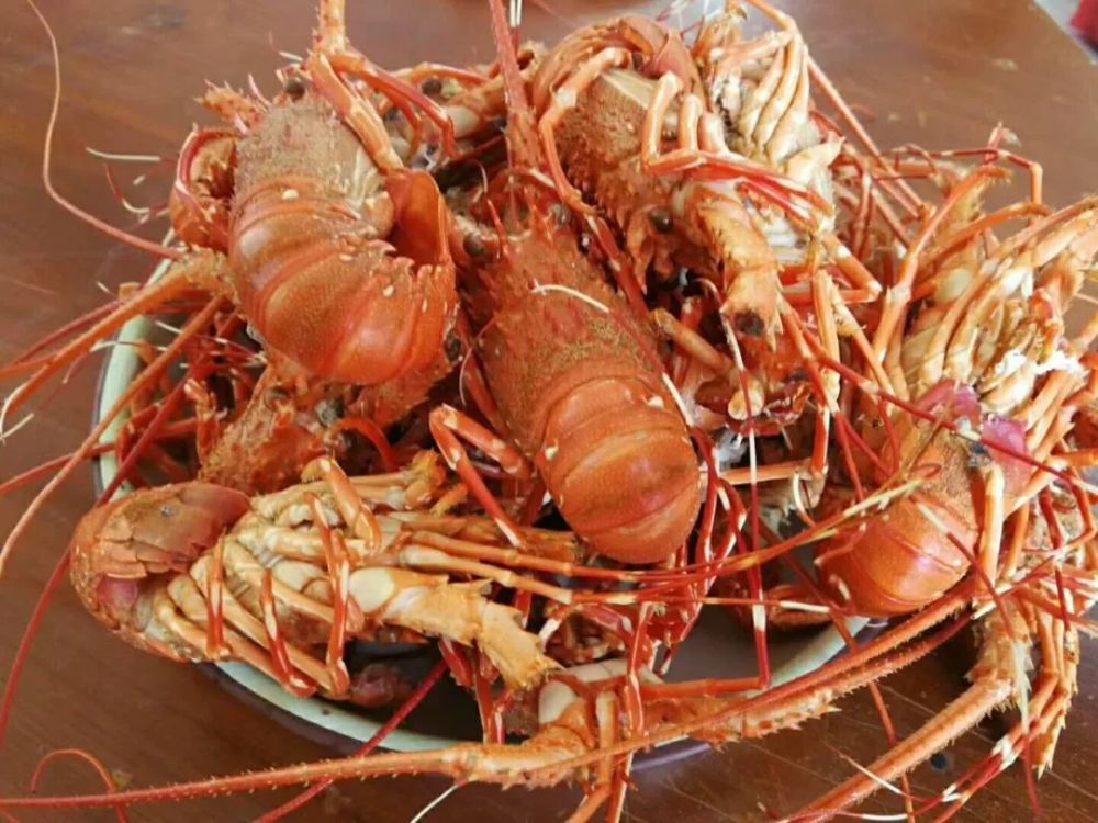 湛江的美食民俗又双叒叕获奖啦